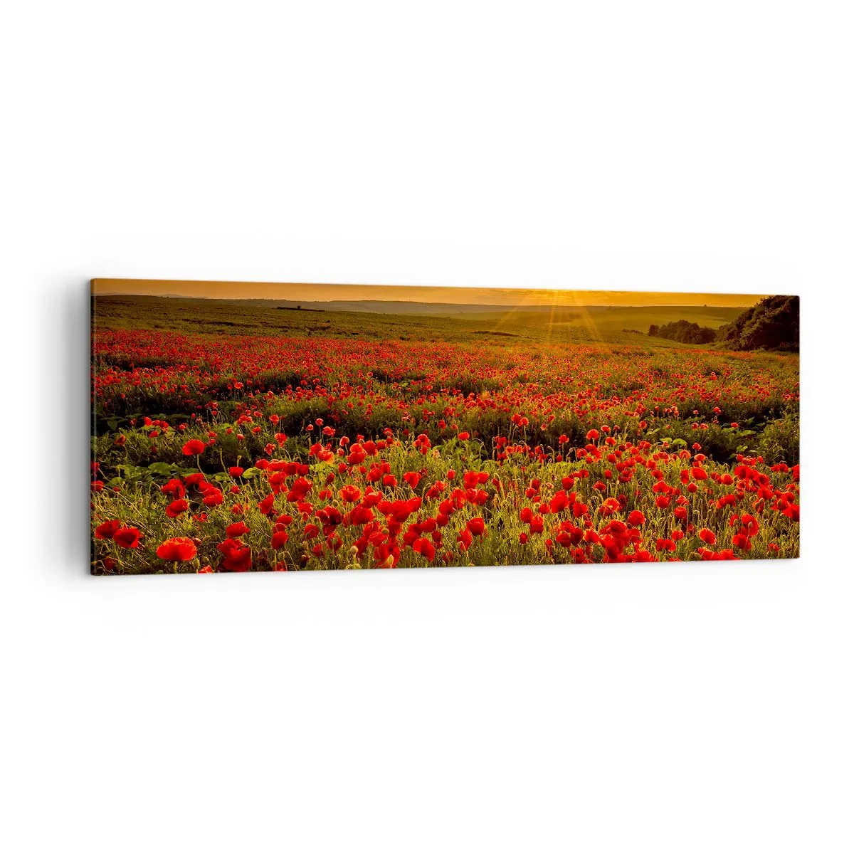 Canvas picture - In the Meadow, among Flood of Flowers - 140x50 cm