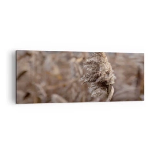 Canvas picture - Time to Fly with the Wind - 140x50 cm