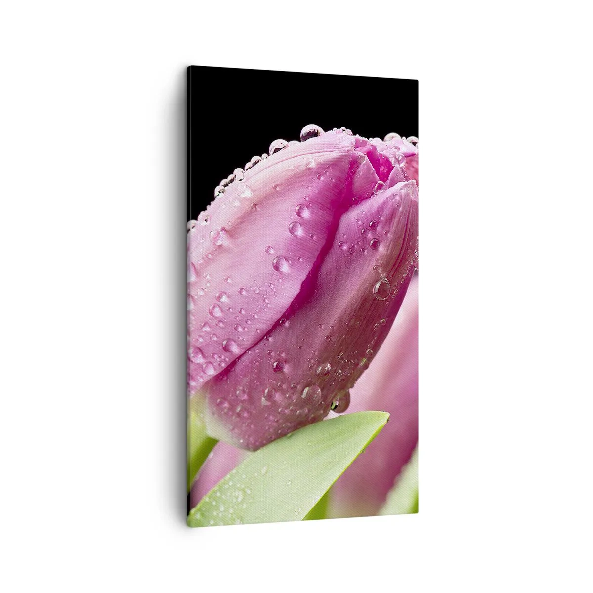Canvas picture - Lilac Dream in a Dew - 45x80 cm