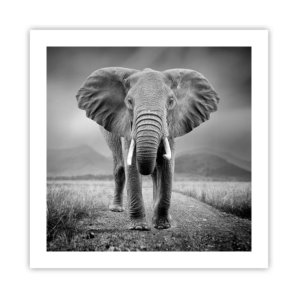 Poster - Welcoming of the Host - 50x50 cm