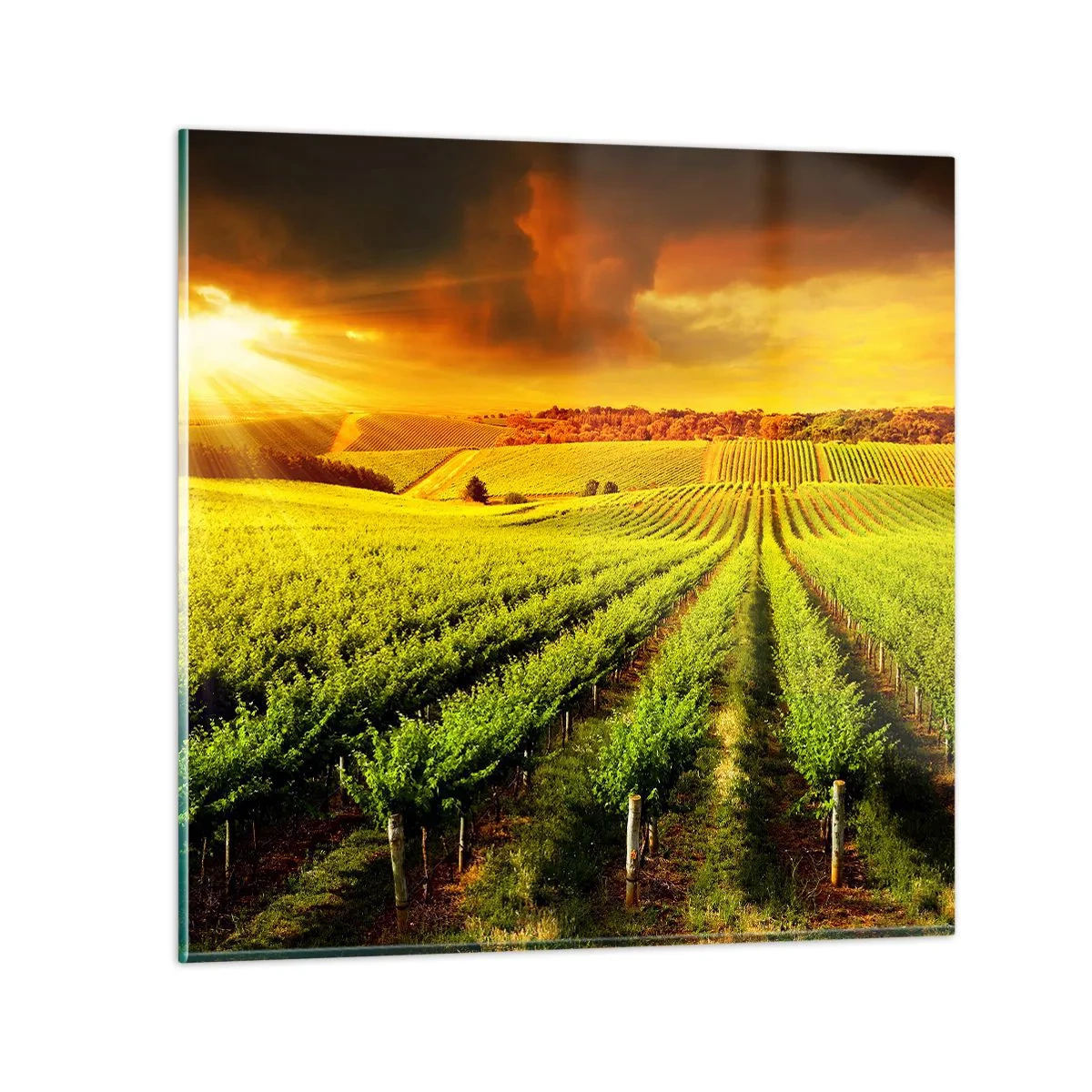 Glass picture - Under Australian Sun - 40x40 cm