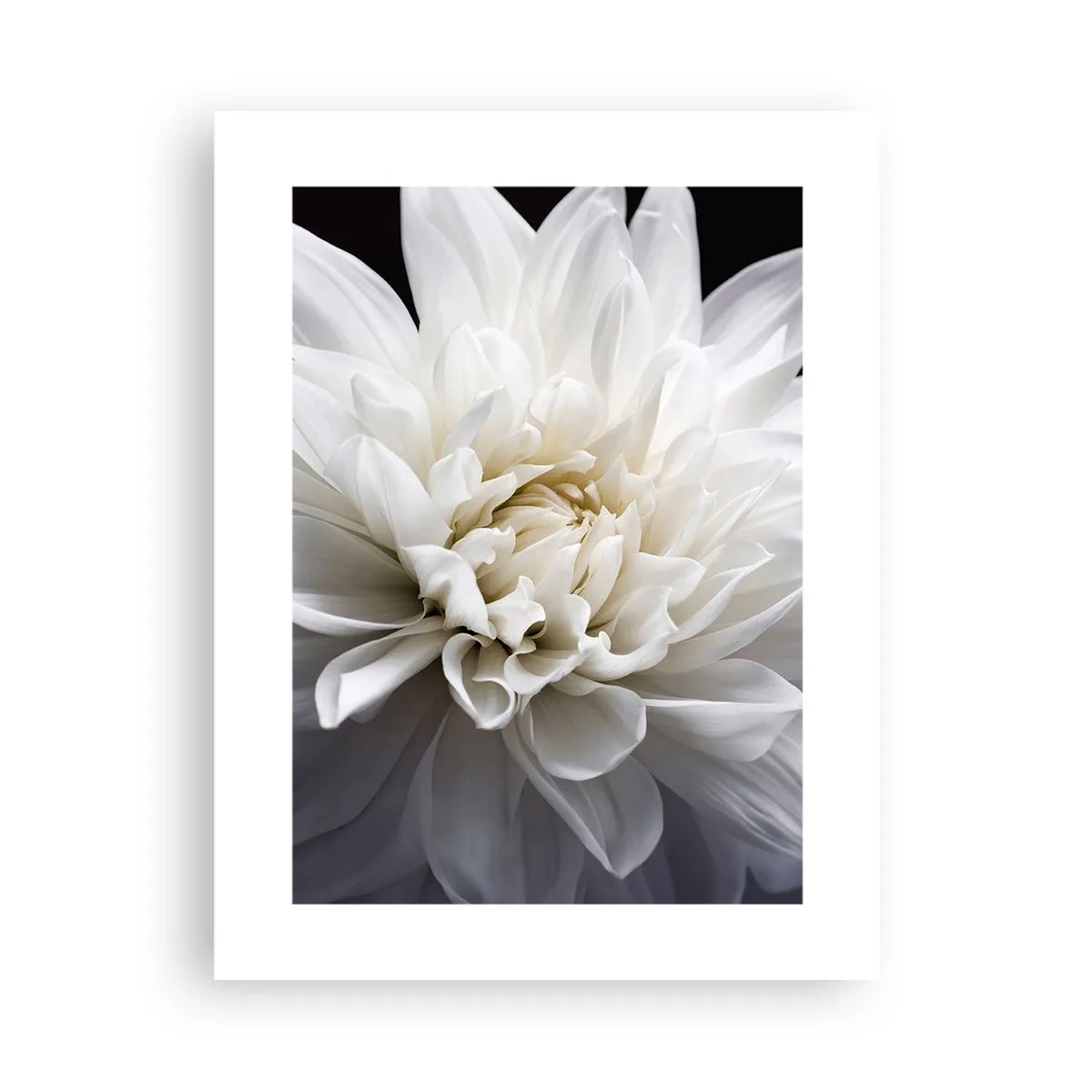 Poster - Bride's Morning - 30x40 cm