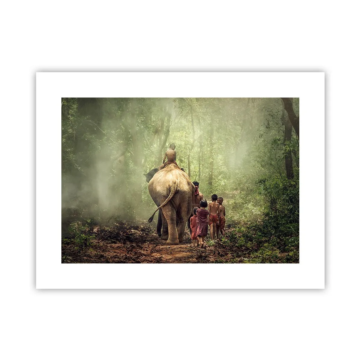 Poster - New Jungle Book - 40x30 cm