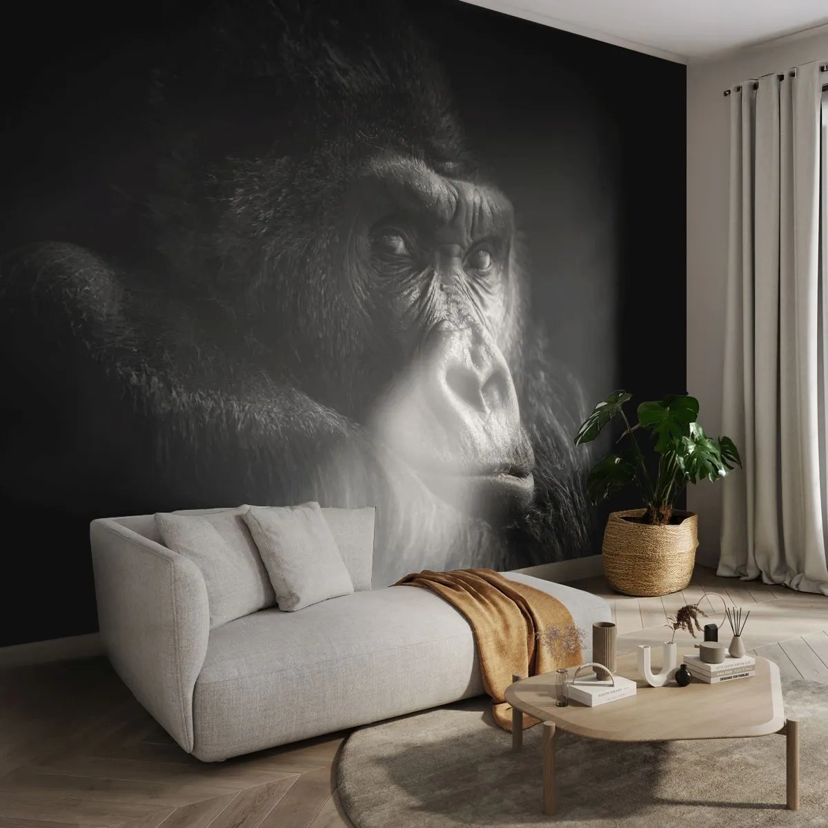 Photo Wallpaper Premium Sand - What Are You Looking At? - Monkey, Gorilla, Animals - 250x175 cm