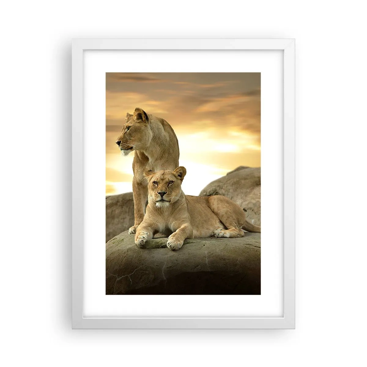 Poster in white frmae - Royal Majesty - 30x40 cm