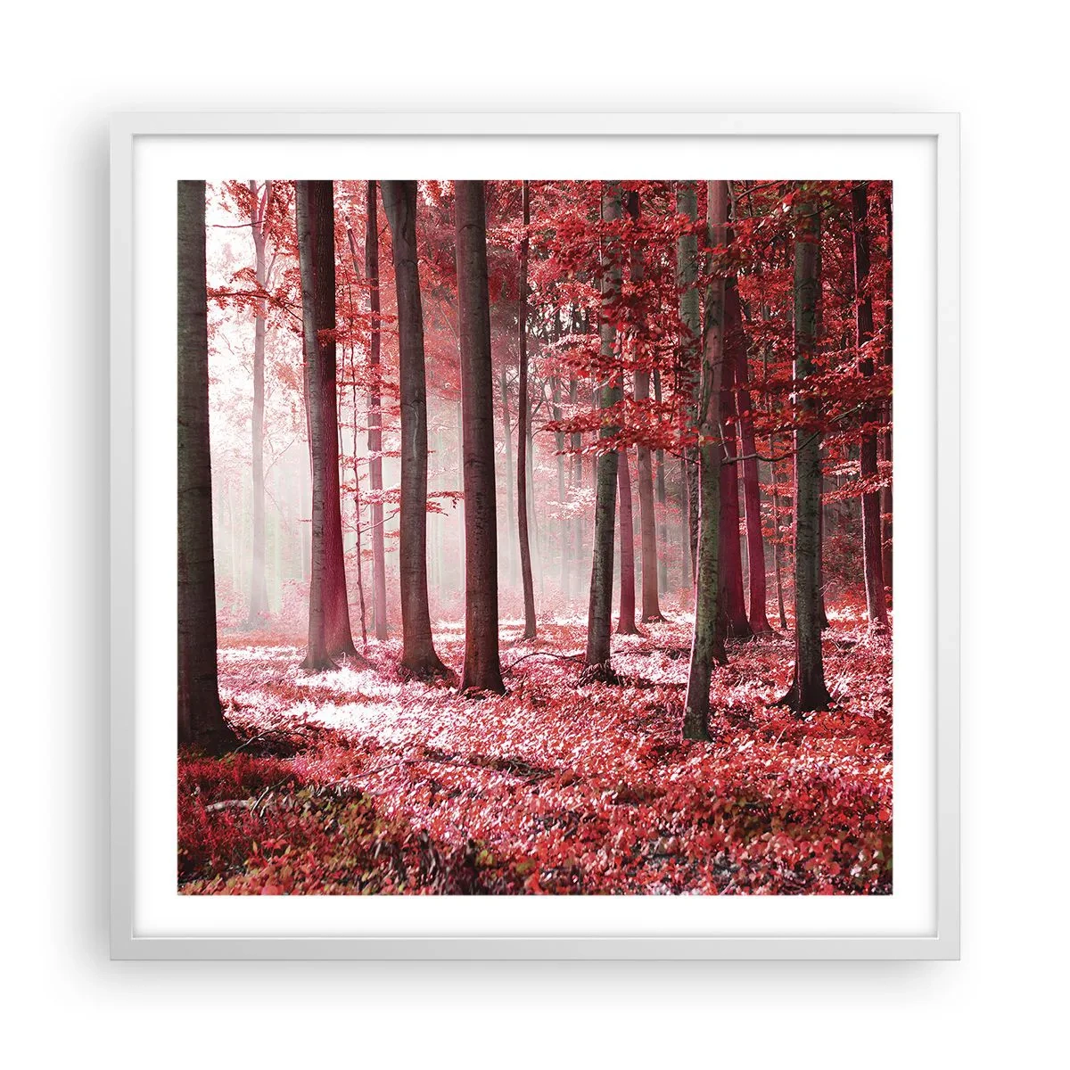 Poster in white frmae - Red Equally Beautiful - 60x60 cm