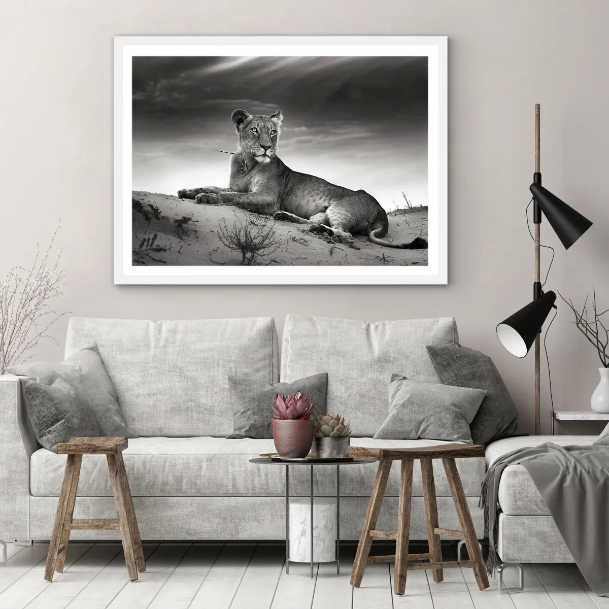 Poster in white frmae - Queen of Desert Is Resting - 91x61 cm