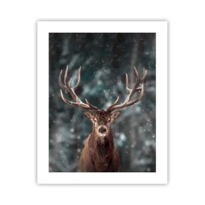 Poster - King of Forest Crowned - 40x50 cm