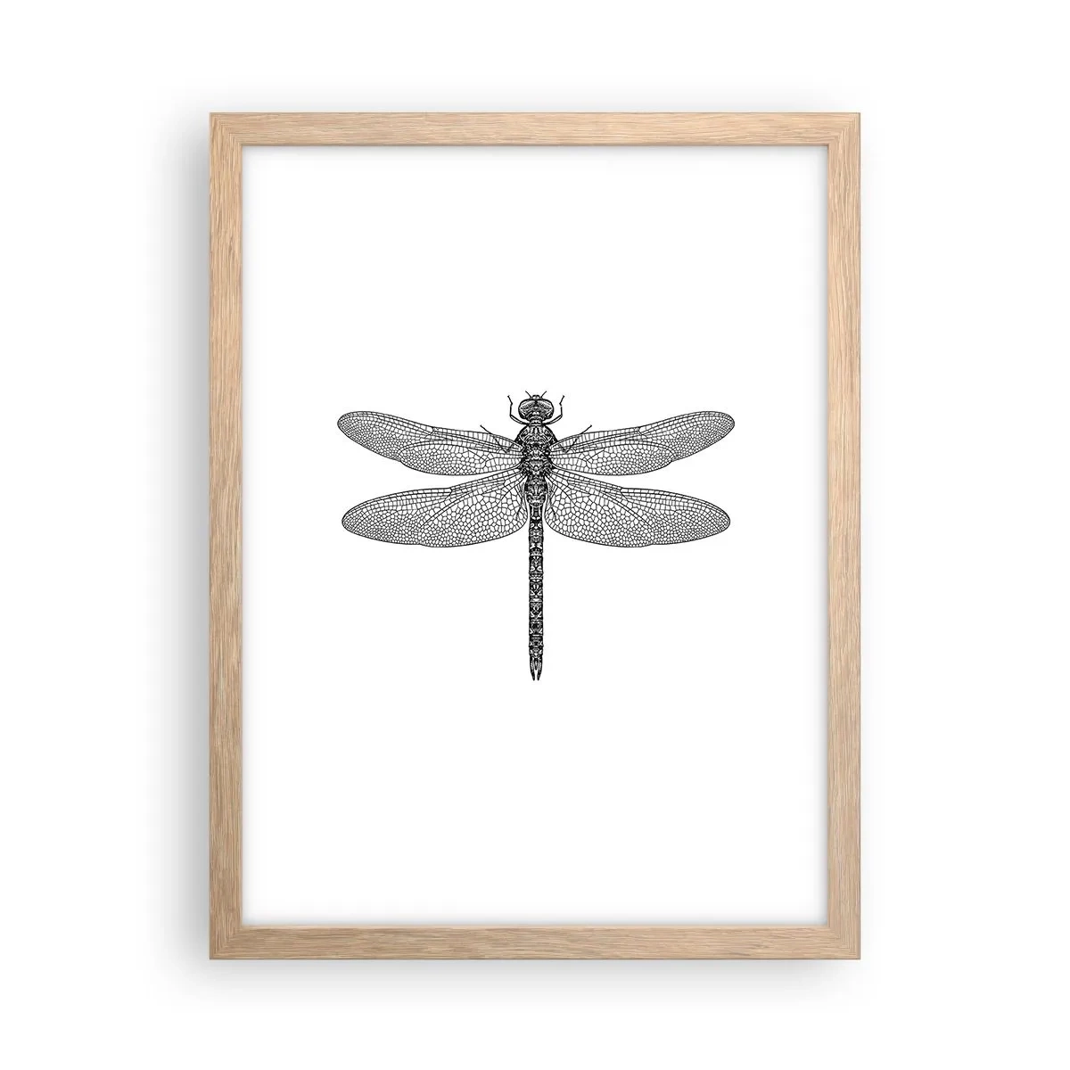 Poster in light oak frame - Precision of Nature - 30x40 cm