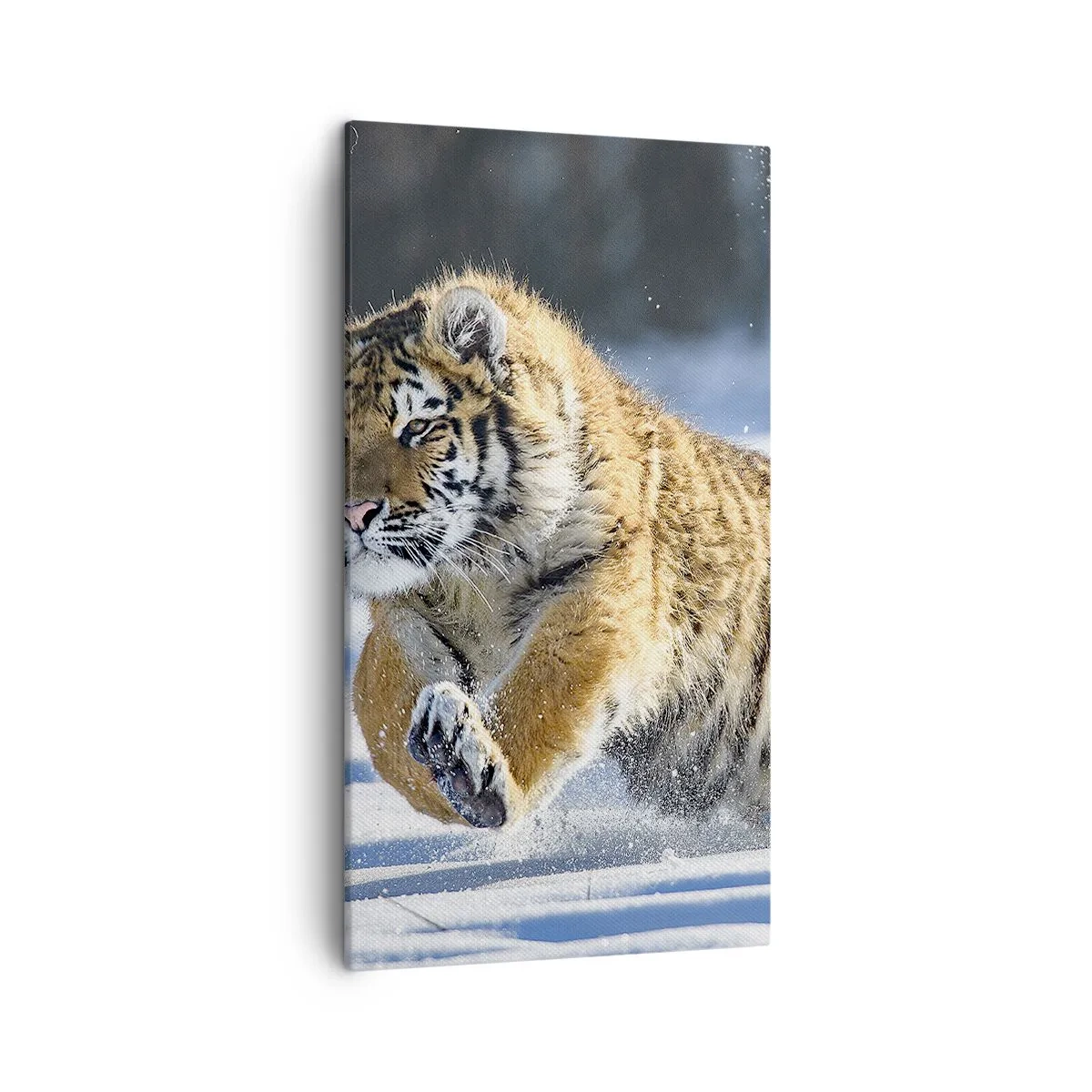 Canvas picture - God of Siberian Taiga - 45x80 cm