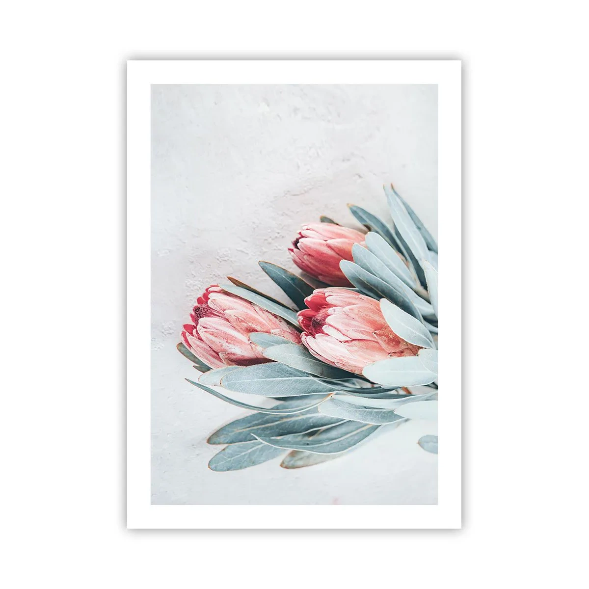 Poster - Ashamed of Their Own Beauty - 50x70 cm