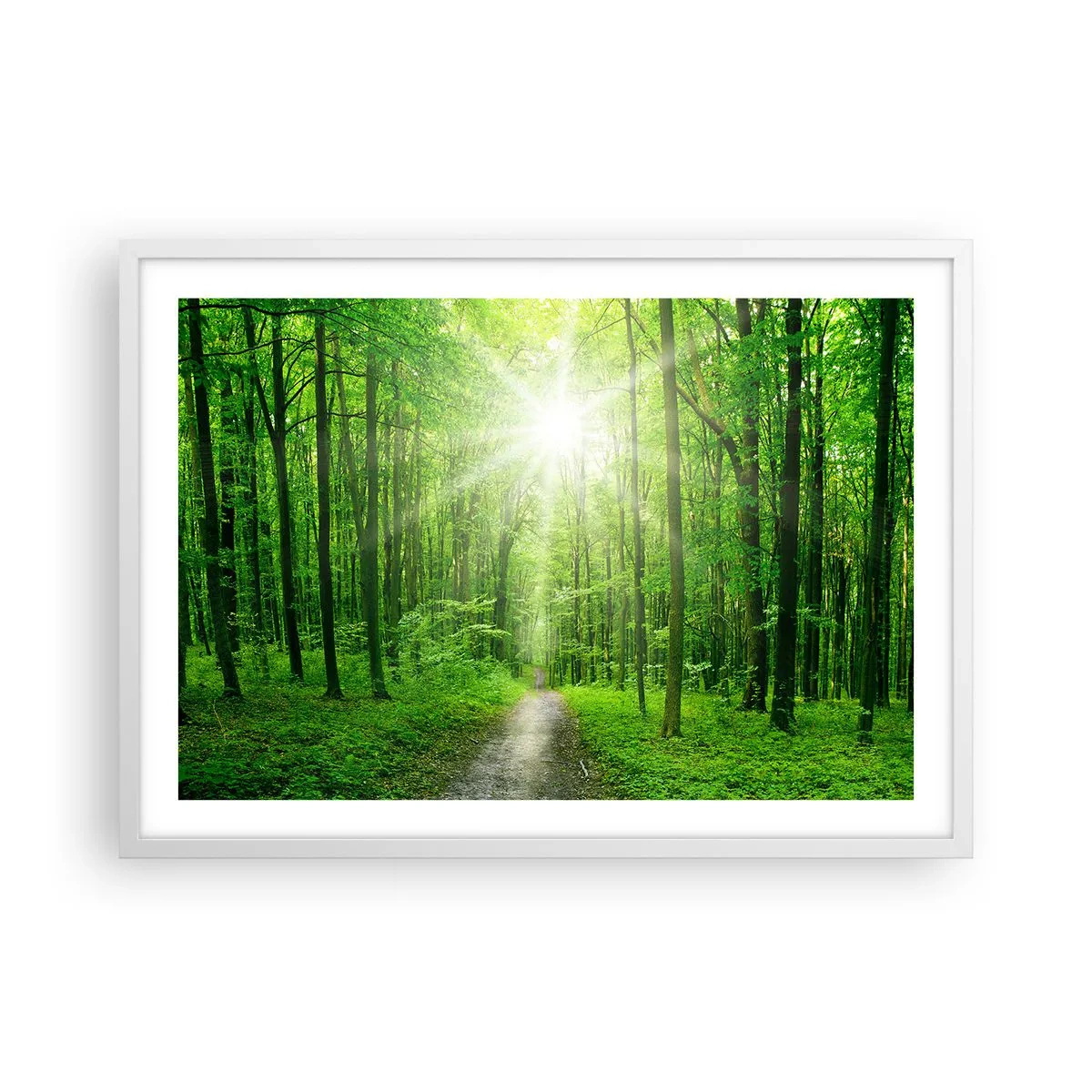 Poster in white frmae - Green Cathedral - 70x50 cm