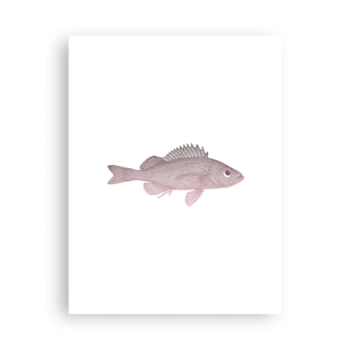 Poster - Big-eyed Fish - 30x40 cm