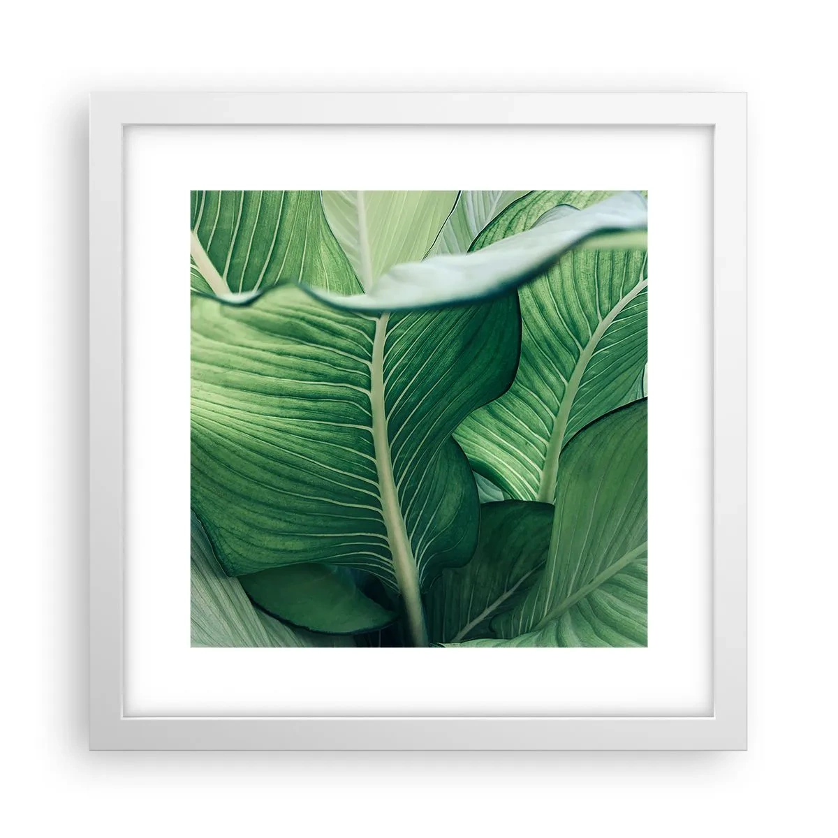 Poster in white frmae - Life in Intense Green Colour - 30x30 cm