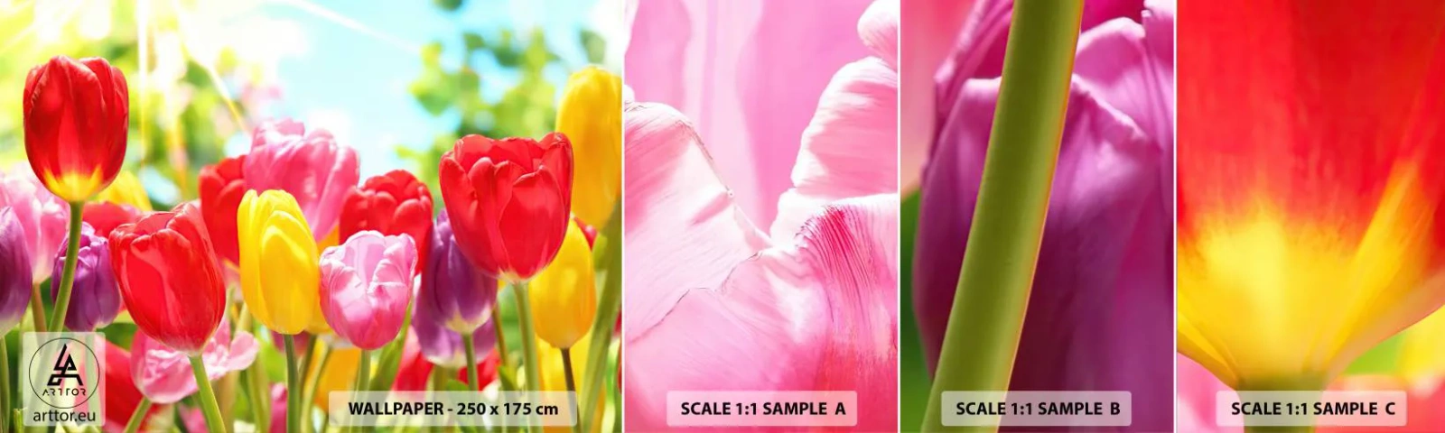 Photo Wallpaper Sample Standard Eco - It is Us, Colour of May! - Flowers, Tulips, Garden - 100x30 cm
