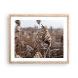 Poster in light oak frame - Time to Fly with the Wind - 50x40 cm