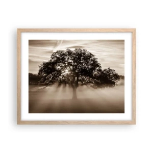 Poster in light oak frame - Tree of Good Knowledge - 50x40 cm