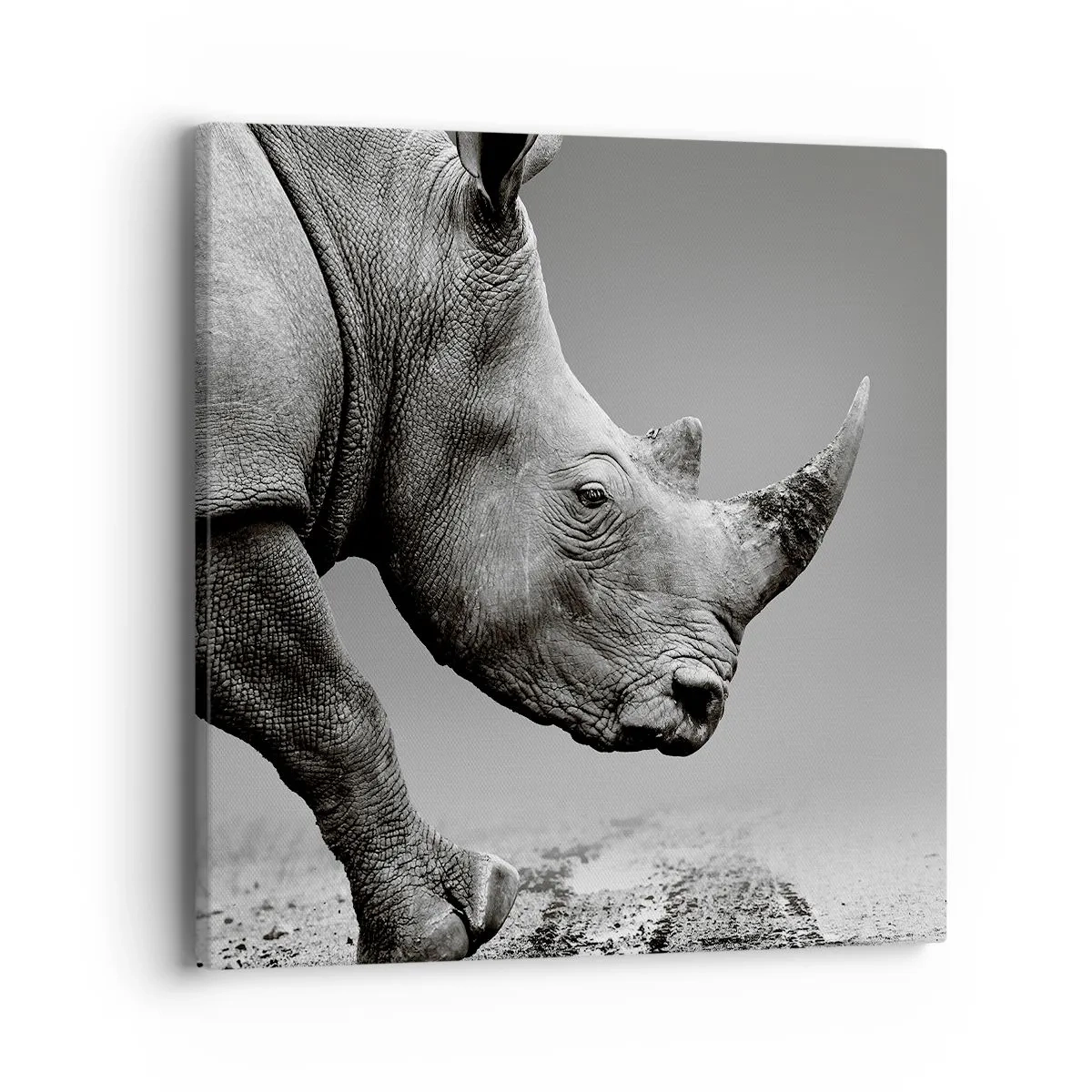 Canvas picture - Uncontrolled Power - 40x40 cm