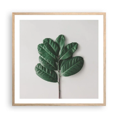 Poster in light oak frame - Drawing of Nature Itself - 60x60 cm
