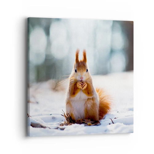 Canvas picture - What Are You Looking at? - 40x40 cm