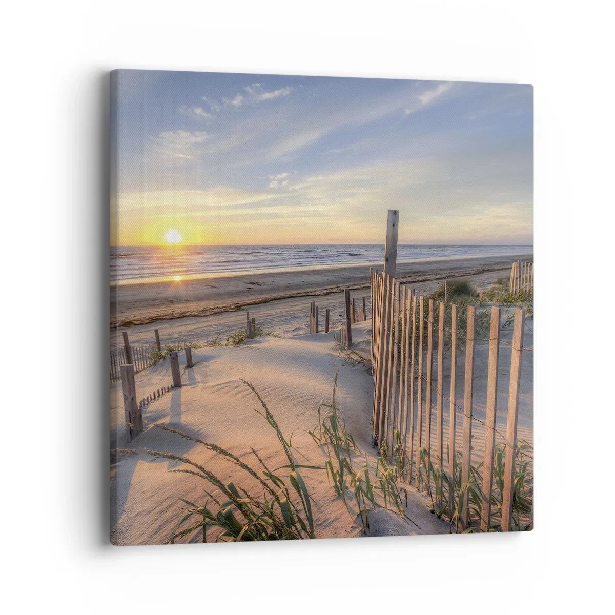 Canvas picture - Light and Shade of the Wind - 40x40 cm