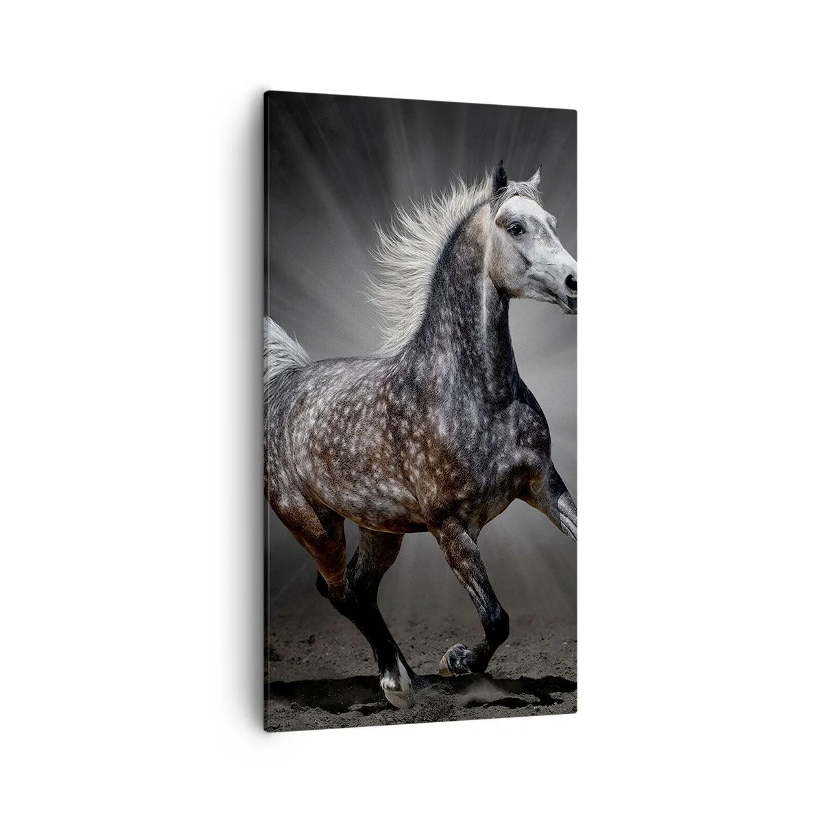 Canvas picture - Grey Is Beautiful - 55x100 cm