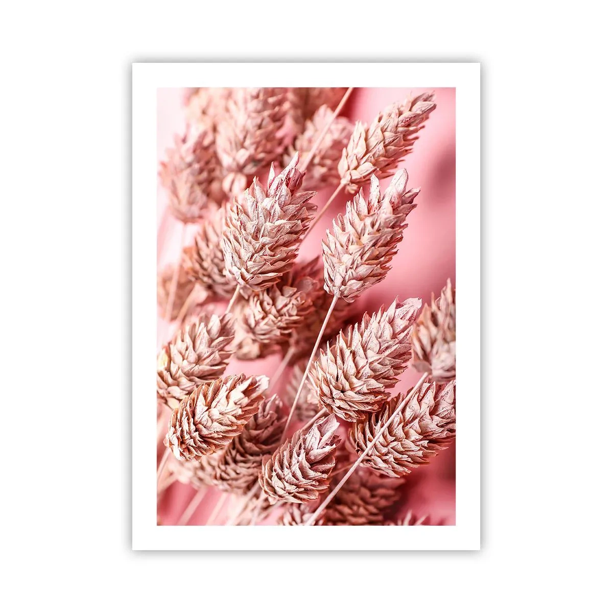 Poster - Flowery Cascade in Pink - 50x70 cm