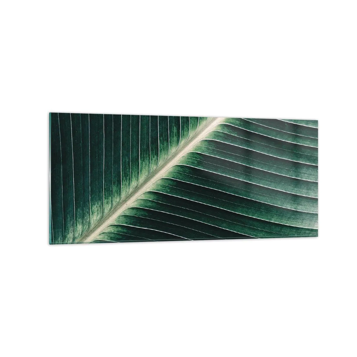 Glass picture - Rhythm of Nature - 120x50 cm