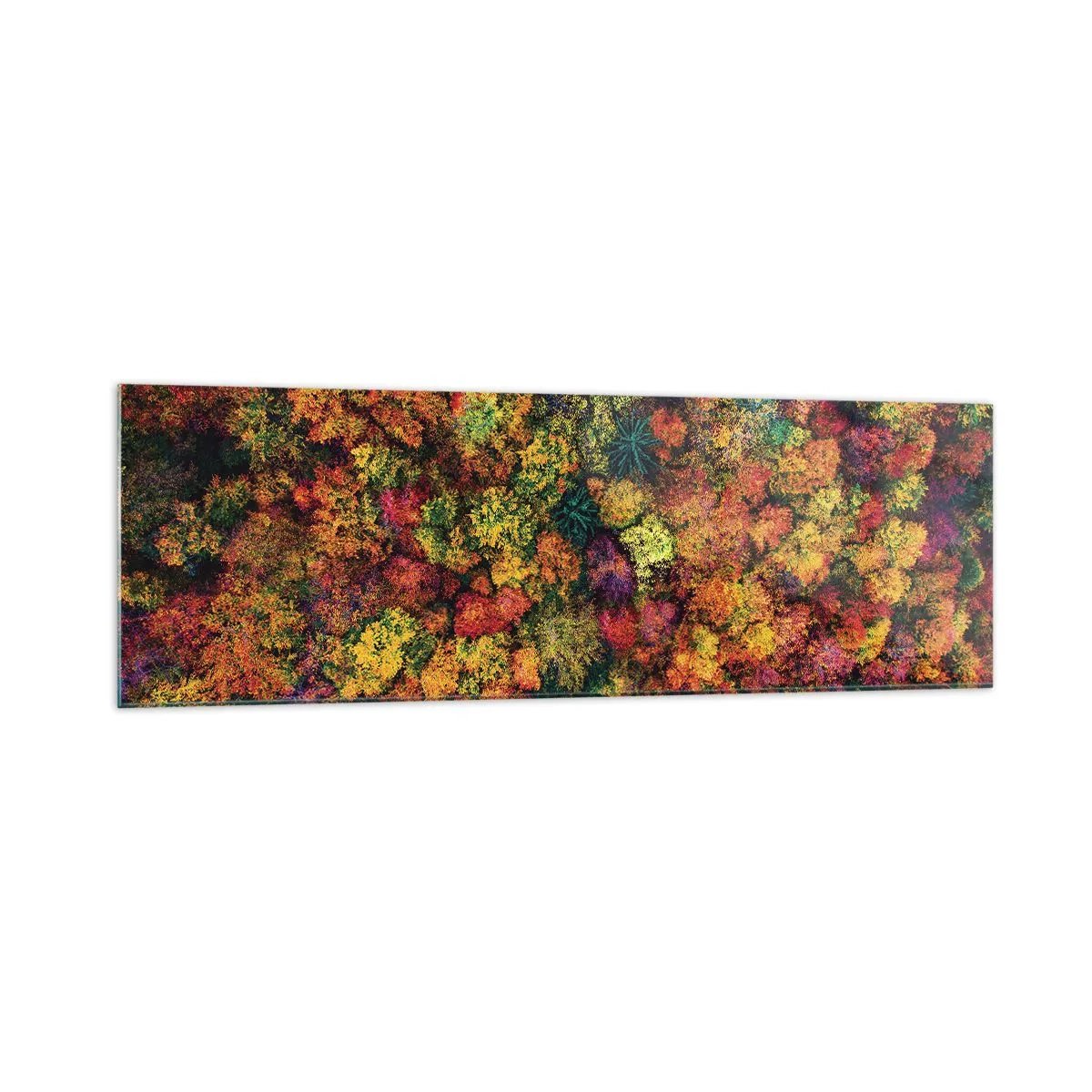 Glass picture - Bouquet of Autumn Flowers - 160x50 cm