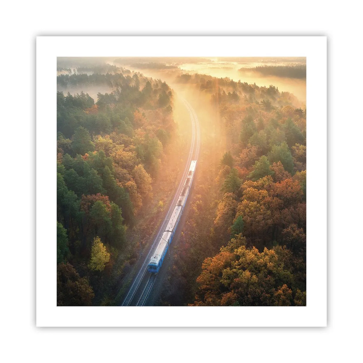 Poster - Autumn Trip - 50x50 cm