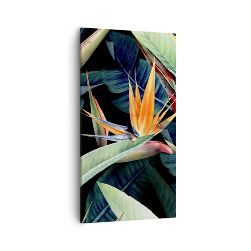 Canvas picture - Flaming Flowers of the Tropics - 55x100 cm