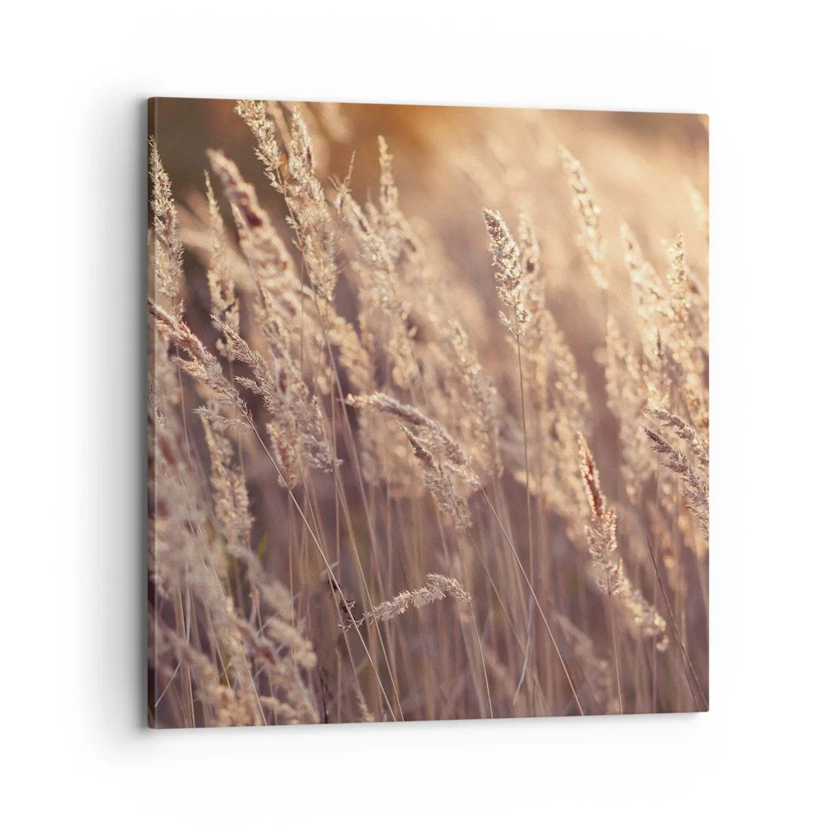 Canvas picture - Ready to Welcome Autumn - 70x70 cm