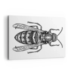 Canvas picture - From Insect Planet - 100x70 cm
