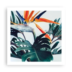 Poster - Birdy Bush - 60x60 cm