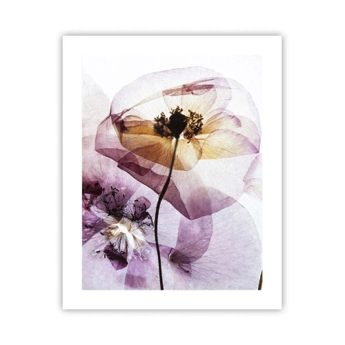 Poster - Flower Body Slide - 40x50 cm
