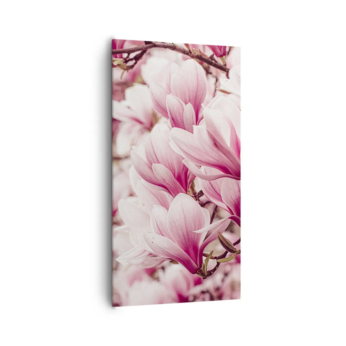 Canvas picture - Spring is Pink - 65x120 cm