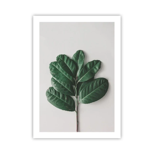 Poster - Drawing of Nature Itself - 50x70 cm