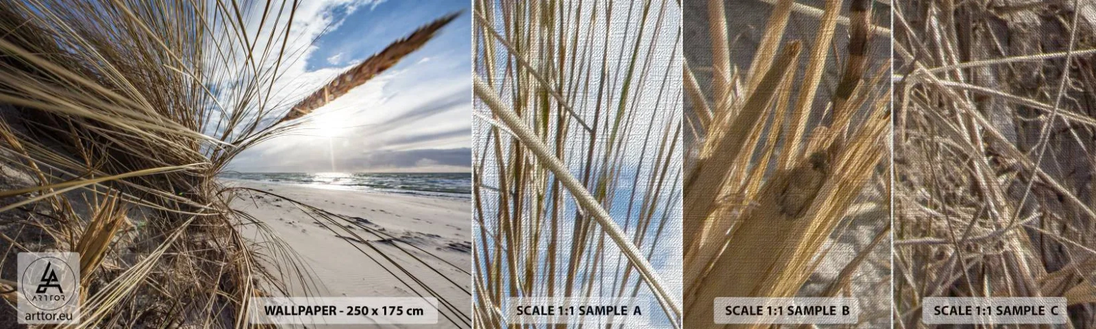 Photo Wallpaper Sample Premium Canvas - Enounter of the Elements - Landscape, Sea, Dunes - 100x30 cm