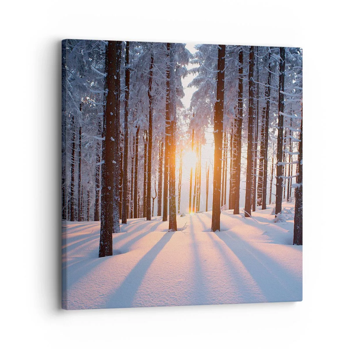 Canvas picture - Clearly Black on White - 30x30 cm