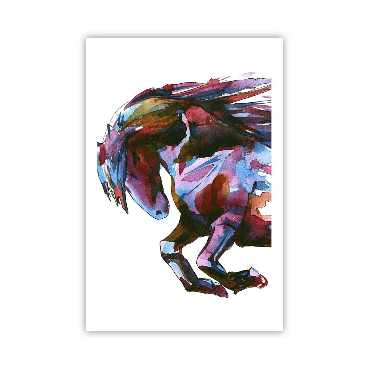 Poster - In Elation - 61x91 cm