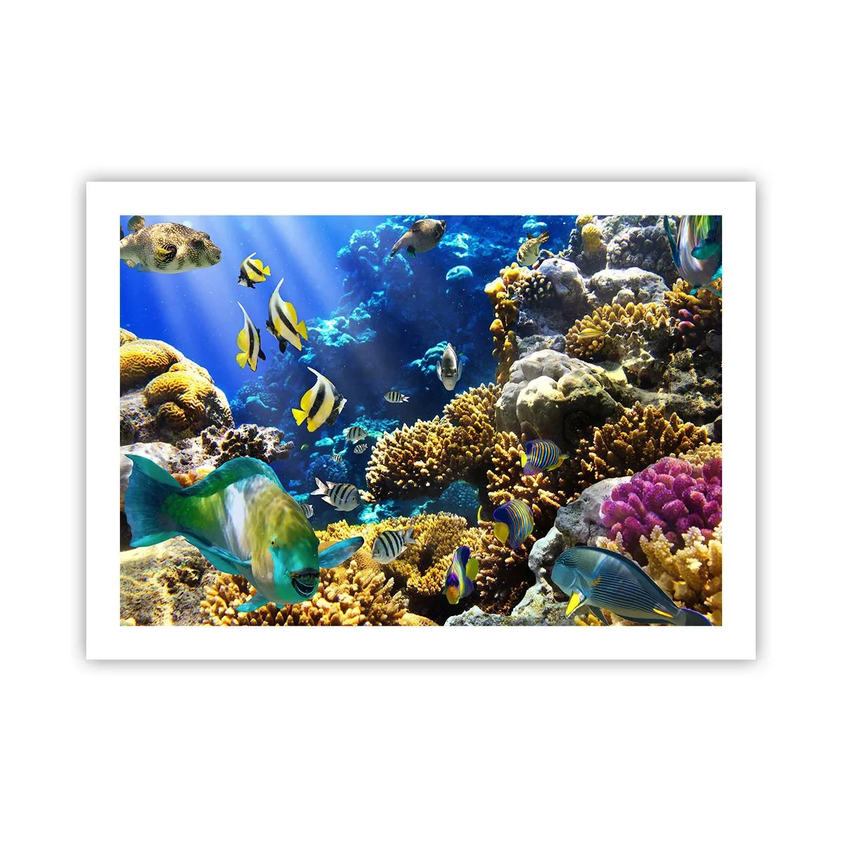 Poster - Big Traffic to Holiday Destination - 70x50 cm