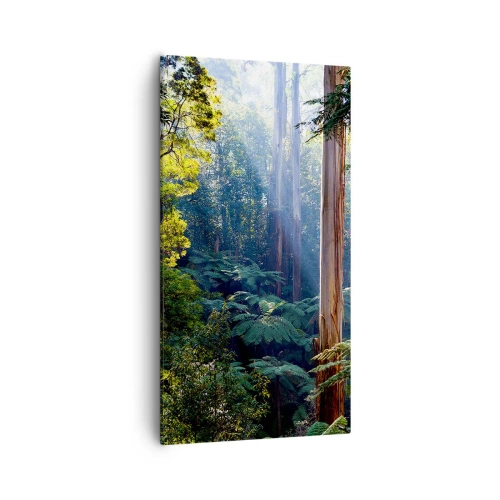 Canvas picture - Tale of a Forest - 55x100 cm