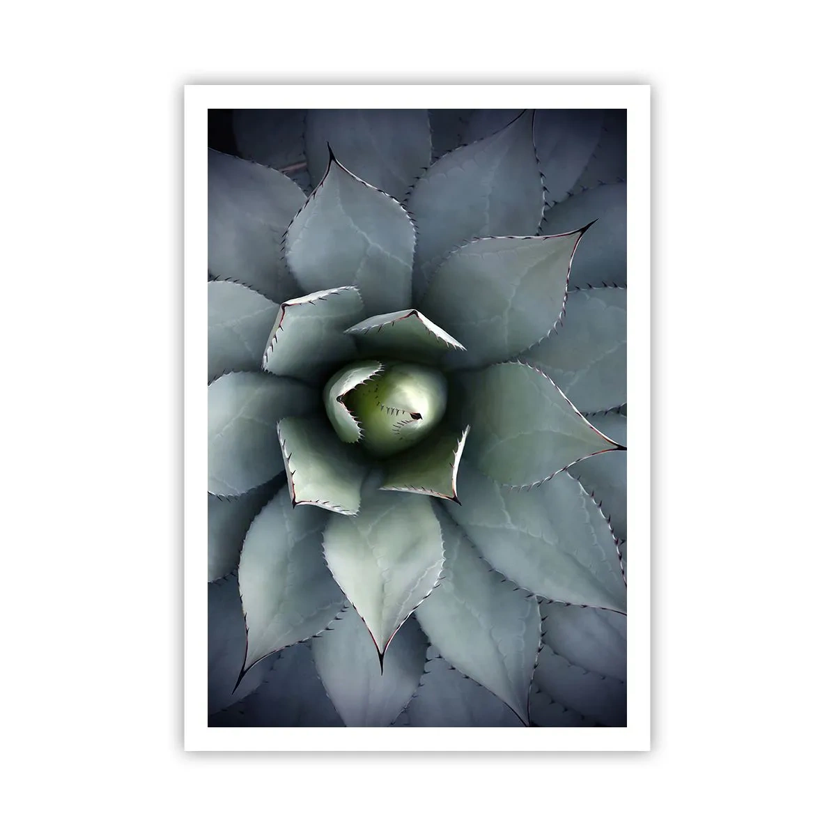 Poster - Attracts and Warns - 70x100 cm