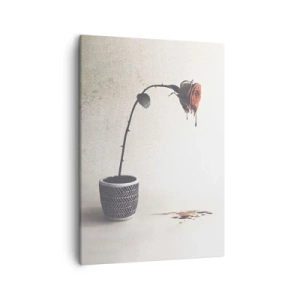 Canvas picture - Rosa Dolorosa - 50x70 cm