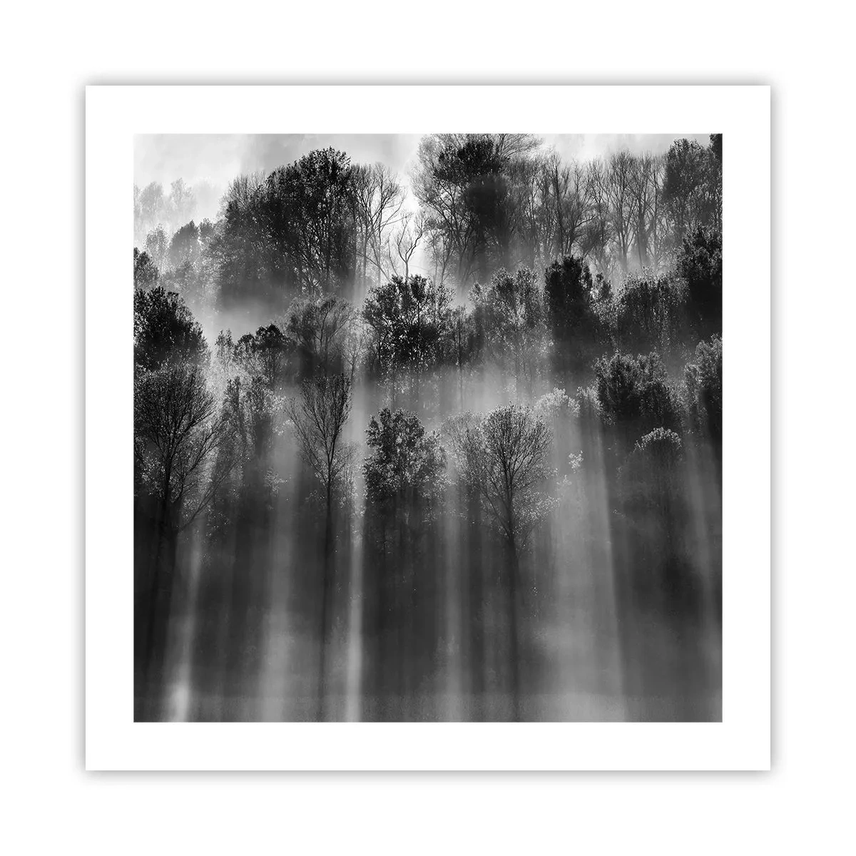 Poster - In the Streams of Light - 50x50 cm