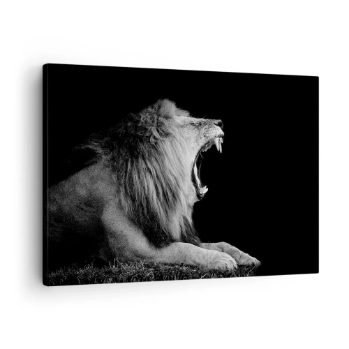 Canvas picture - A roaring lion on a black background in black and white tones - 70x50cm - Without Any Doubt - Modern wall decoration for the living room and bedroom ARTTOR