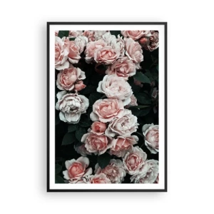 Poster in black frame - Rose Ensemble - 70x100 cm