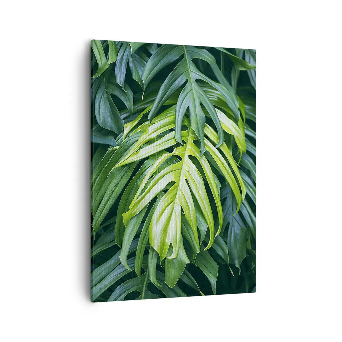 Canvas picture - Immerse Yourself in Freshness - 50x70 cm
