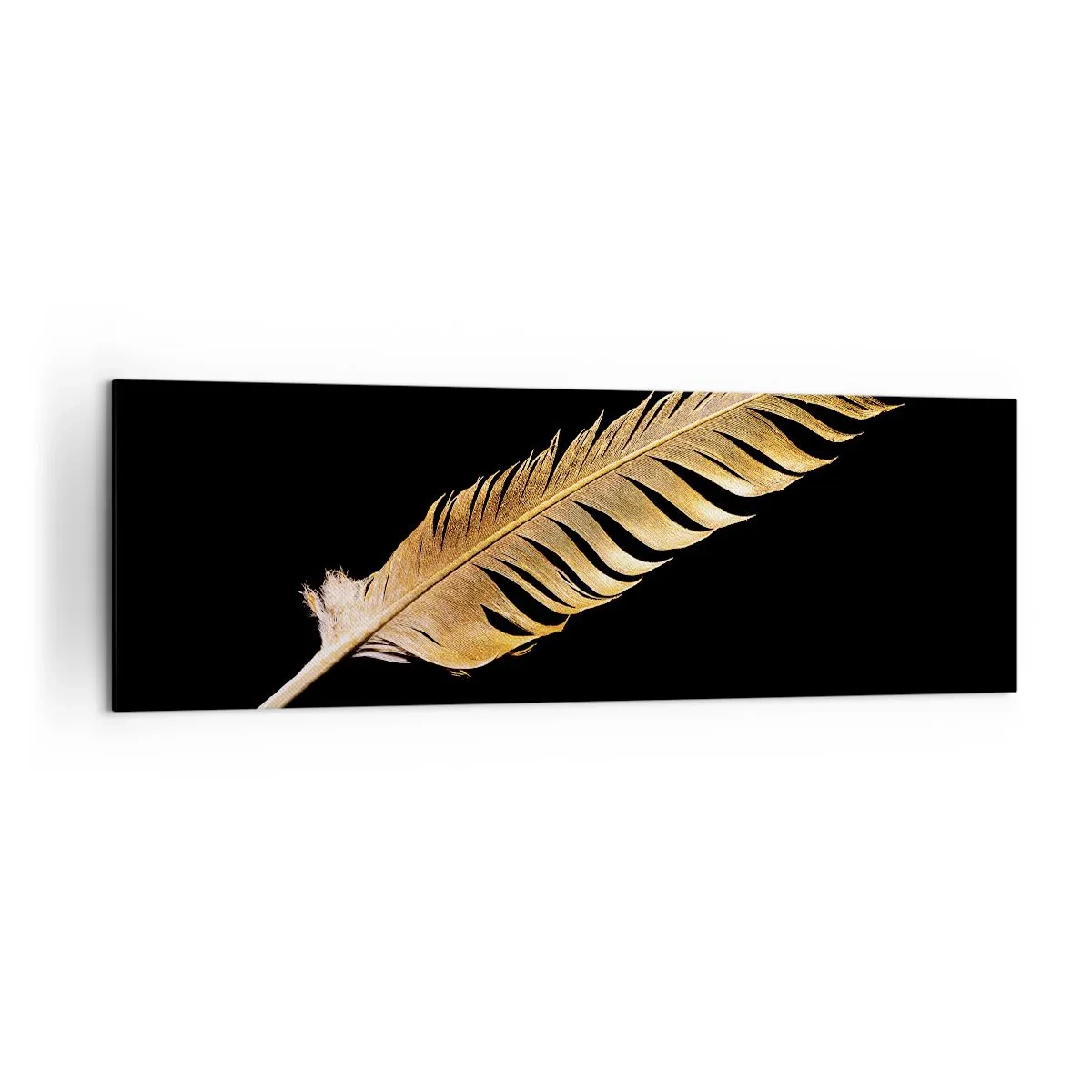 Canvas picture - High-Class Feather - 160x50 cm