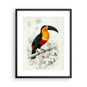 Poster in black frame - Bird Colours - 40x50 cm